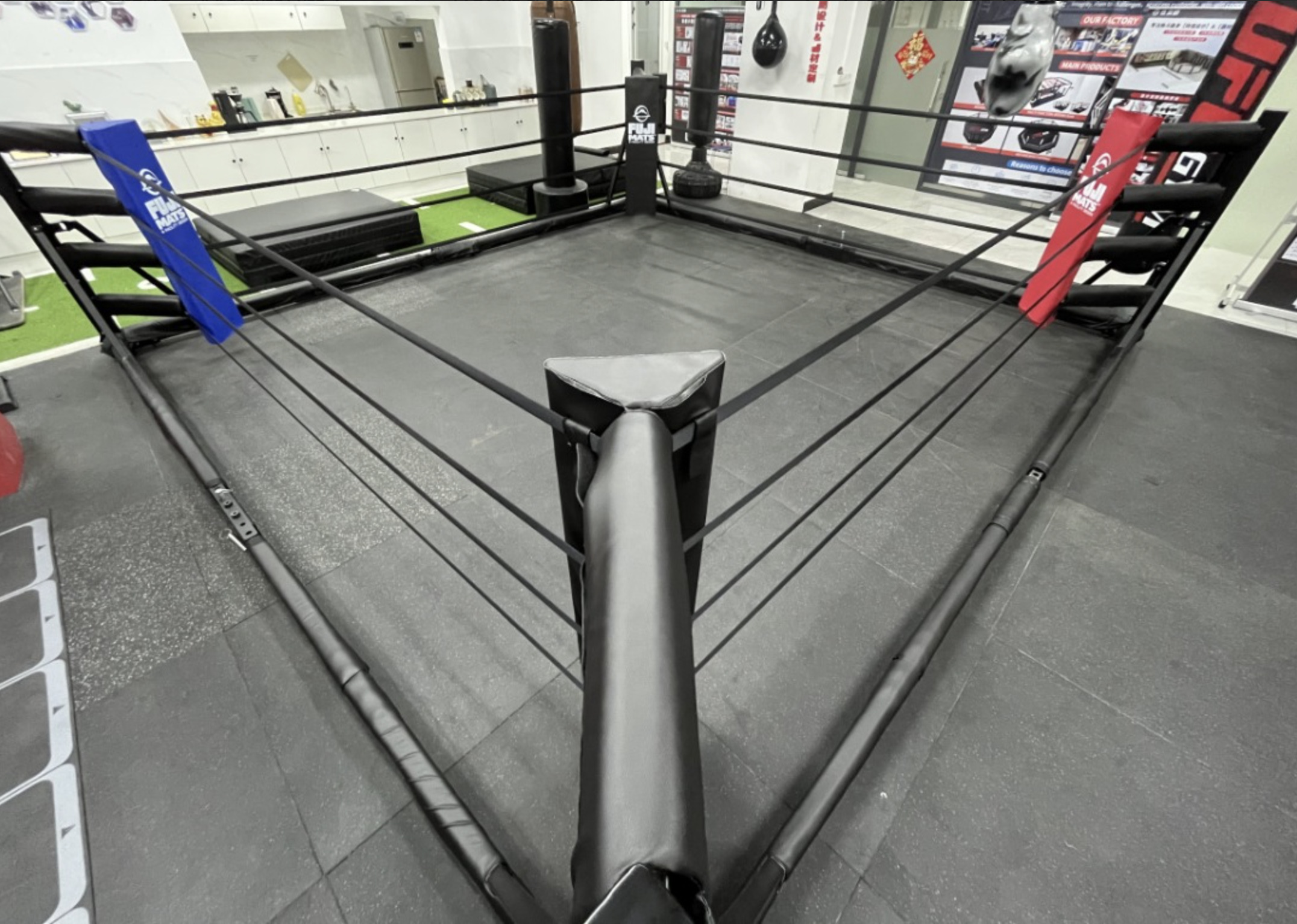 Revolutionising Combat Sports: The Fuji Foldable Boxing Ring image