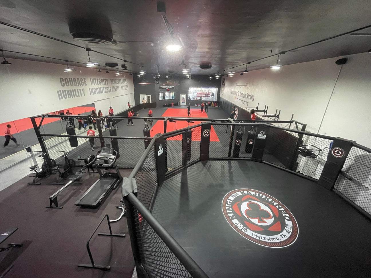 Vinyl vs. Canvas MMA Cage Flooring – Which is Best for Your Gym?