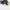 Karcher BR35/12 Gym Floor Scrubber easy turn squeegee